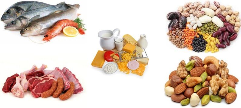 proteina-produktuak proteina-dieta batean