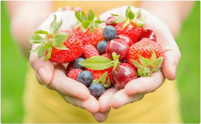 fruitu